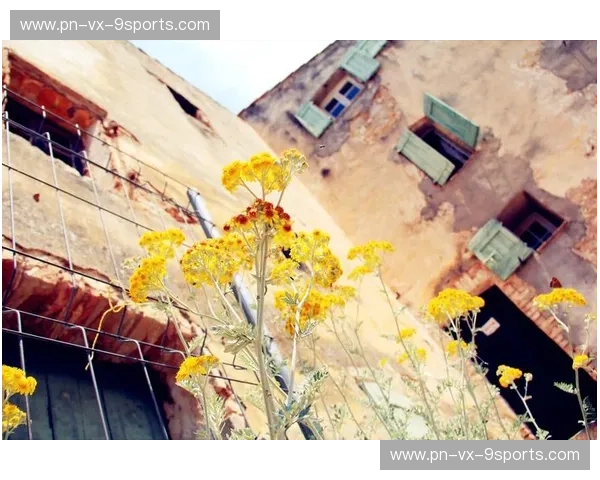 蔚蓝海岸的浪漫邂逅：尼斯与卡昂，一场穿越时空的足球情缘